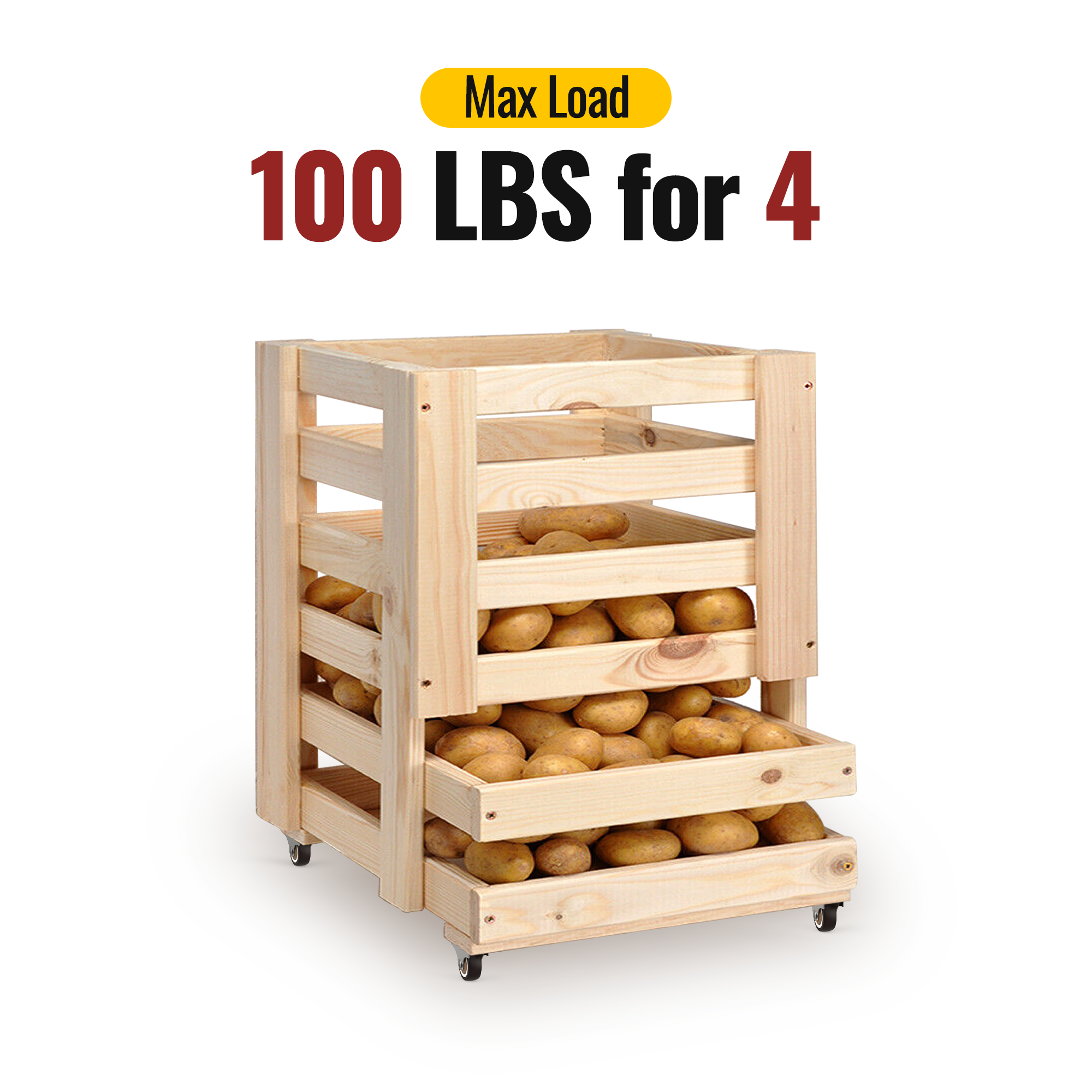 1.25 in Rigid Fixed Caster